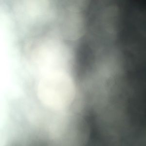 Meet your Posher, Gladys